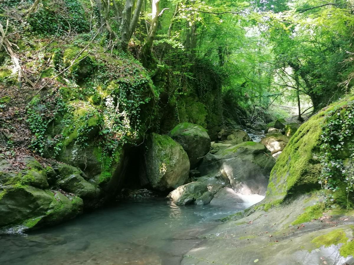 Les Pedres Villa Camprodon Dış mekan fotoğraf