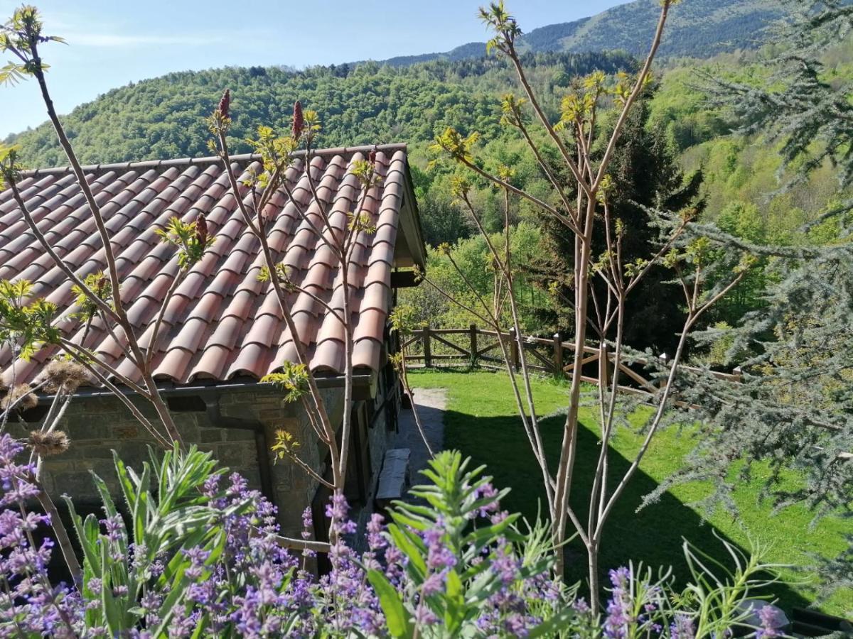 Les Pedres Villa Camprodon Dış mekan fotoğraf