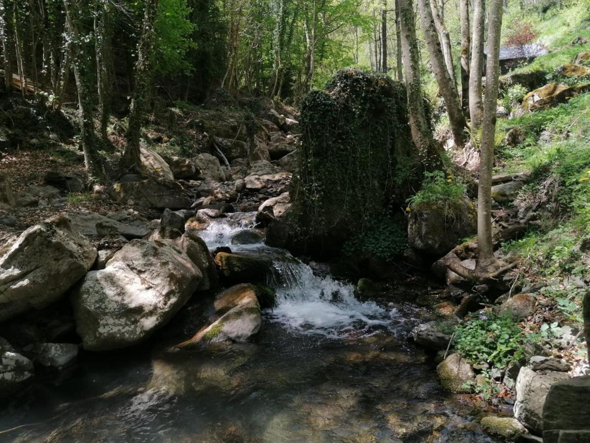 Les Pedres Villa Camprodon Dış mekan fotoğraf