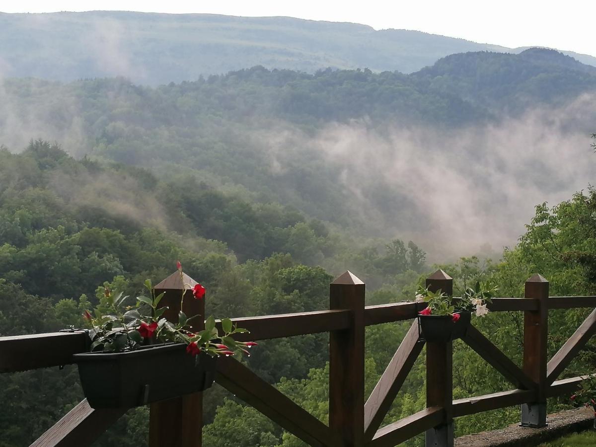 Les Pedres Villa Camprodon Dış mekan fotoğraf