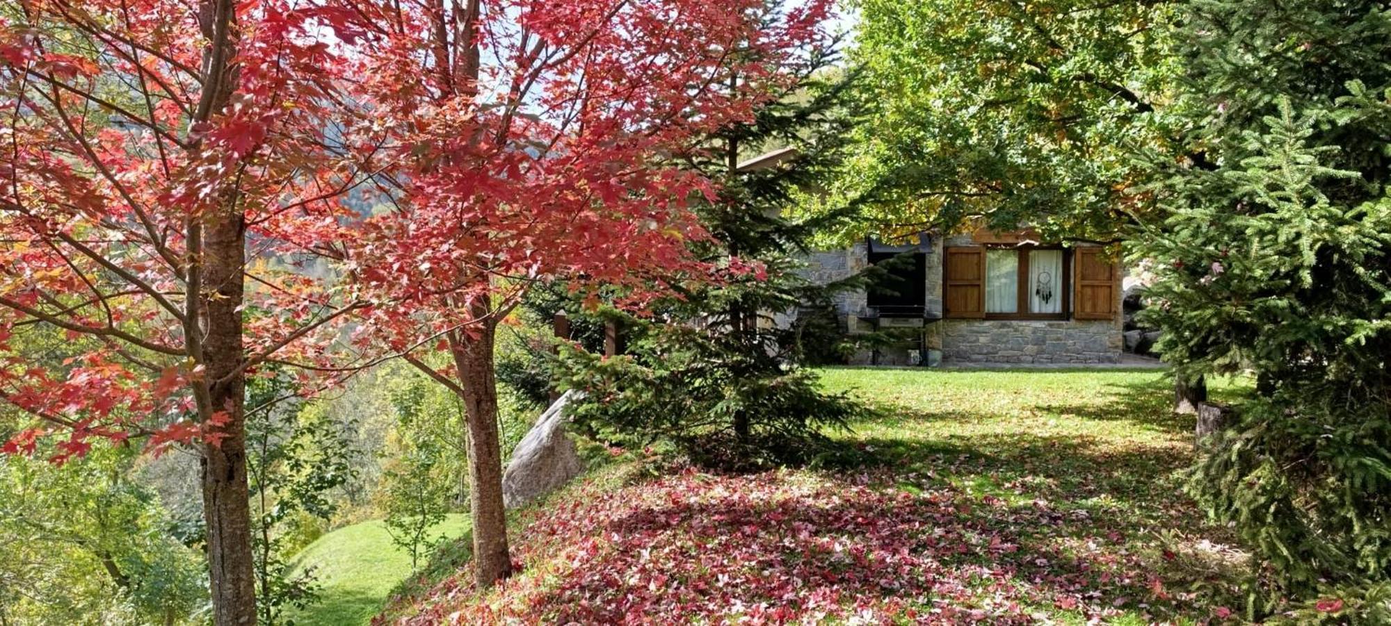 Les Pedres Villa Camprodon Dış mekan fotoğraf