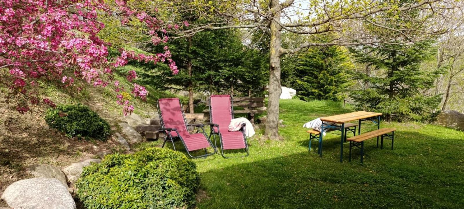 Les Pedres Villa Camprodon Dış mekan fotoğraf