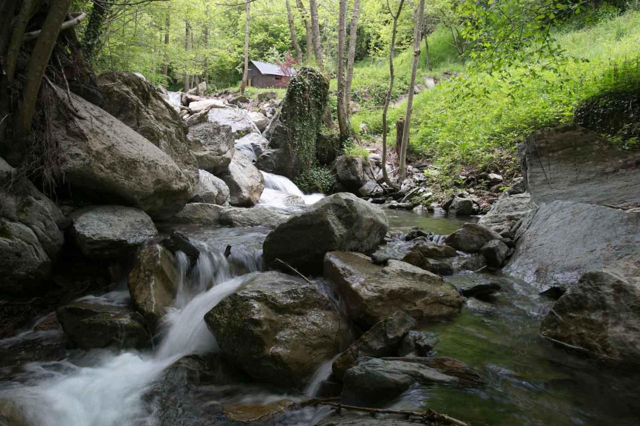 Les Pedres Villa Camprodon Dış mekan fotoğraf