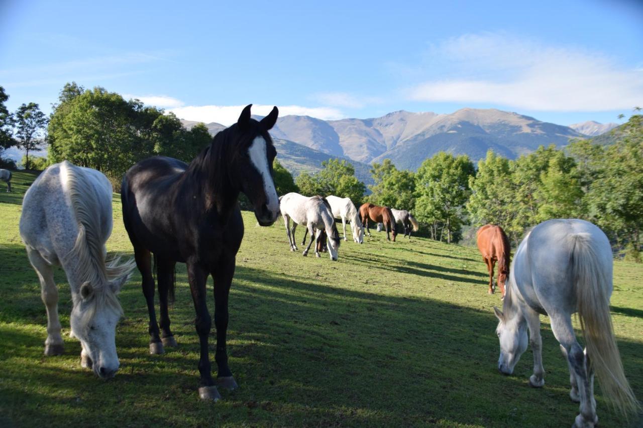 Les Pedres Villa Camprodon Dış mekan fotoğraf